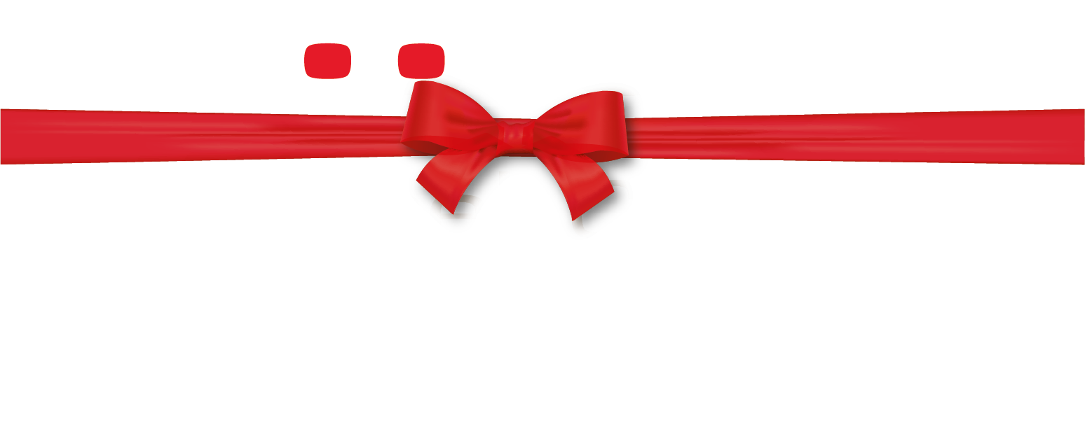 30 jaar DB logo wit def